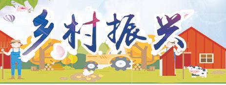 辣椒产业助推乡村振兴