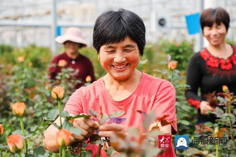 致富经 玫瑰_致富经花卉种植视频_致富玫瑰文案短句