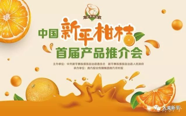 【视频+图集】政府搭台，产销对接！直击中国“新平柑橘”首届产品推介会