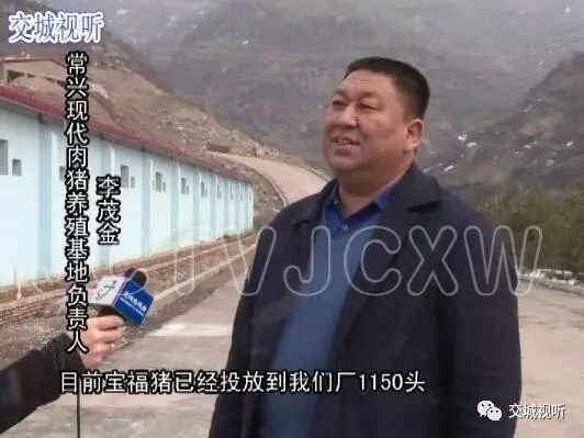 家乡养殖致富工程_致富养殖业_致富项目养殖