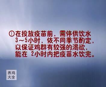 最新的蝇蛆养殖技术_养殖最新蝇蛆技术方案_养殖蝇蛆最高产量的方法