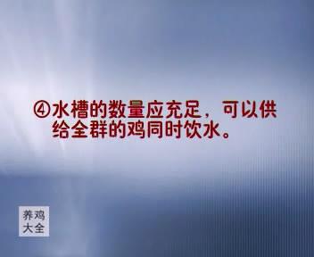 养殖最新蝇蛆技术方案_养殖蝇蛆最高产量的方法_最新的蝇蛆养殖技术