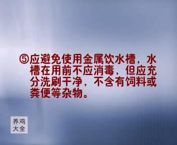 养殖蝇蛆最高产量的方法_最新的蝇蛆养殖技术_养殖最新蝇蛆技术方案