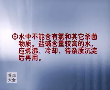 养殖蝇蛆最高产量的方法_养殖最新蝇蛆技术方案_最新的蝇蛆养殖技术