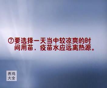 最新的蝇蛆养殖技术_养殖蝇蛆最高产量的方法_养殖最新蝇蛆技术方案