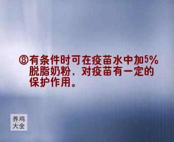 养殖蝇蛆最高产量的方法_养殖最新蝇蛆技术方案_最新的蝇蛆养殖技术