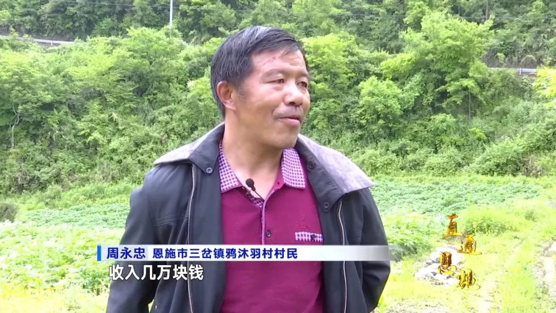 视频致富土豆种植教程_种植土豆致富视频_种植土豆的视频