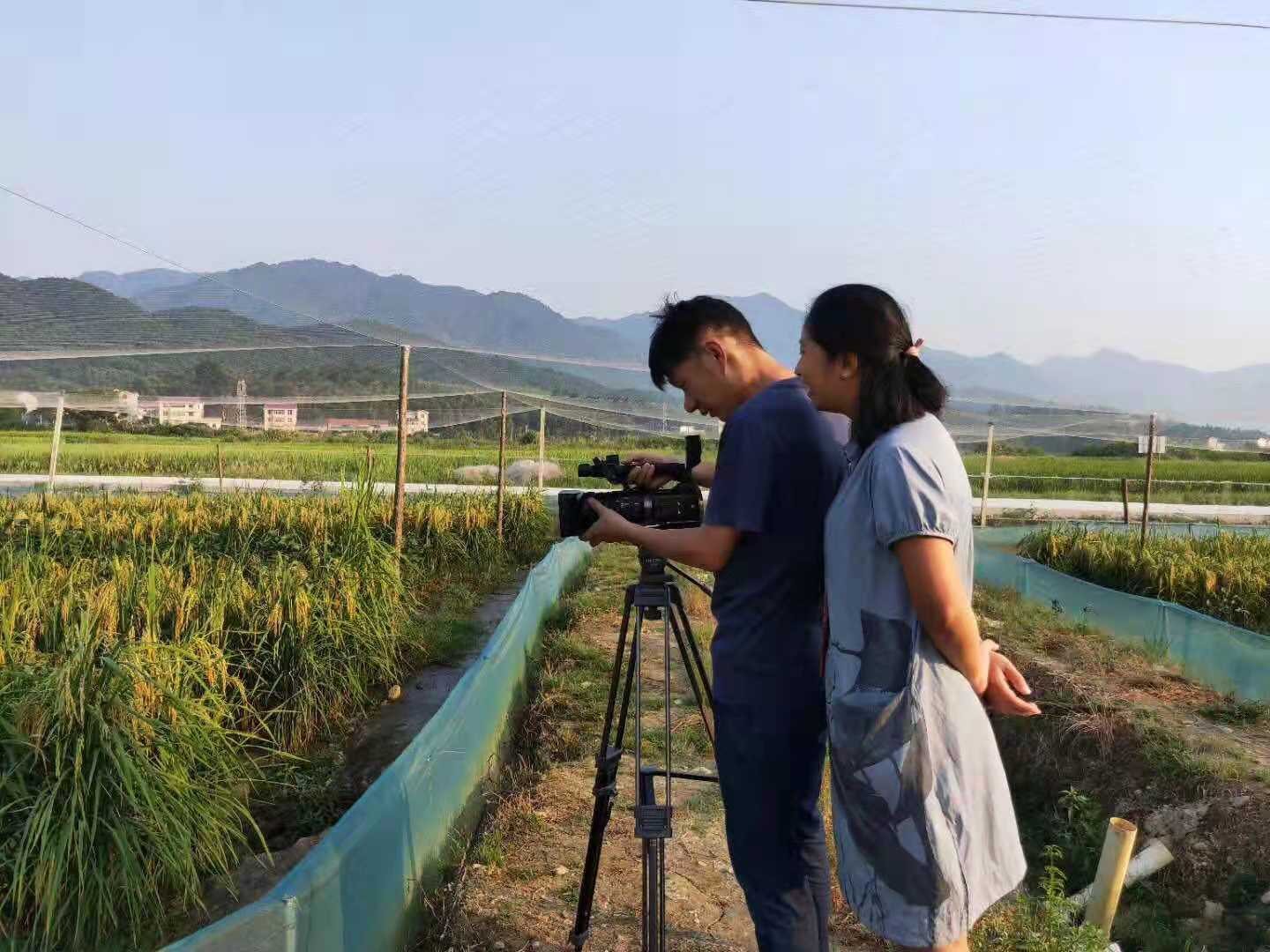 农广天地养殖黄鳝技术视频一_黄鳝养殖技术视频教程_黄鳝养殖技术视频资料