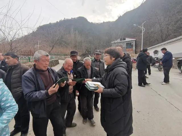 连翘种植项目实施方案_种植连翘的效益怎么样_农业种植致富项目连翘种植