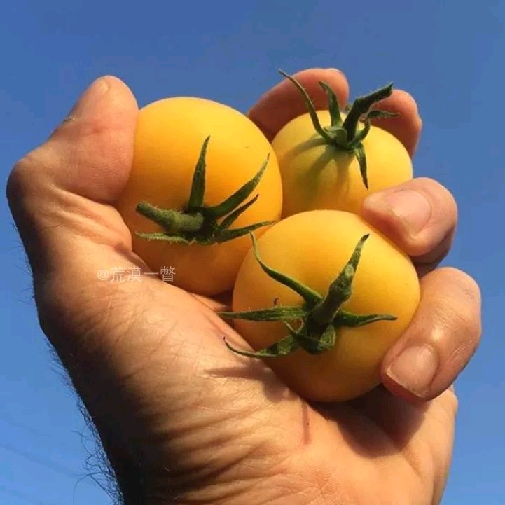 三月种的花有哪些_三月种植什么植物_三月蔓种植技术