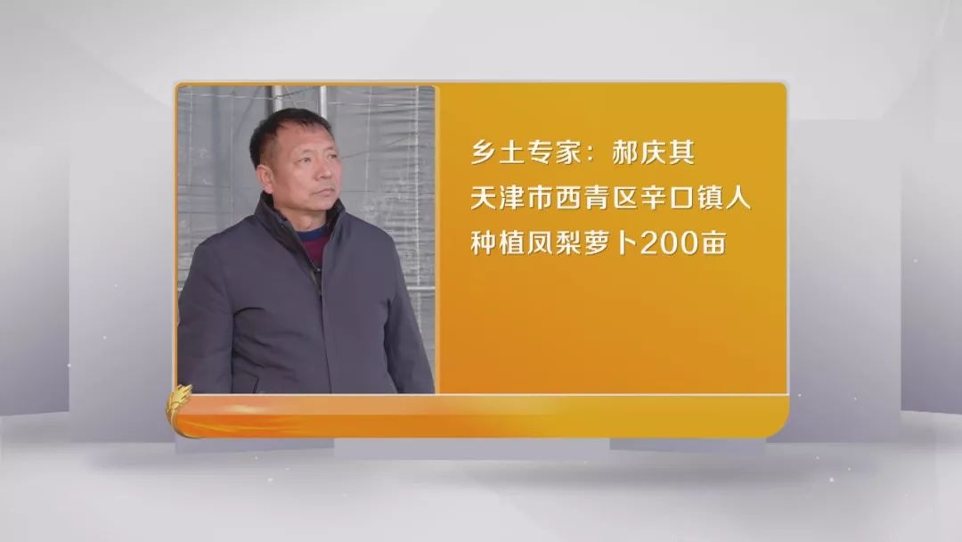 大棚种植凤梨技术视频_大棚凤梨种植技术_大棚凤梨怎么种植