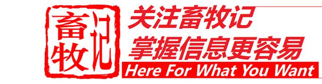 致富石油养殖项目招标_致富石油养殖项目介绍_石油养殖致富项目