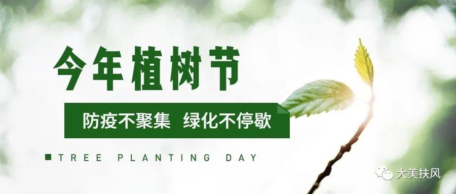 杨树种植效益_农民种植杨树致富_农村种杨树有补贴吗