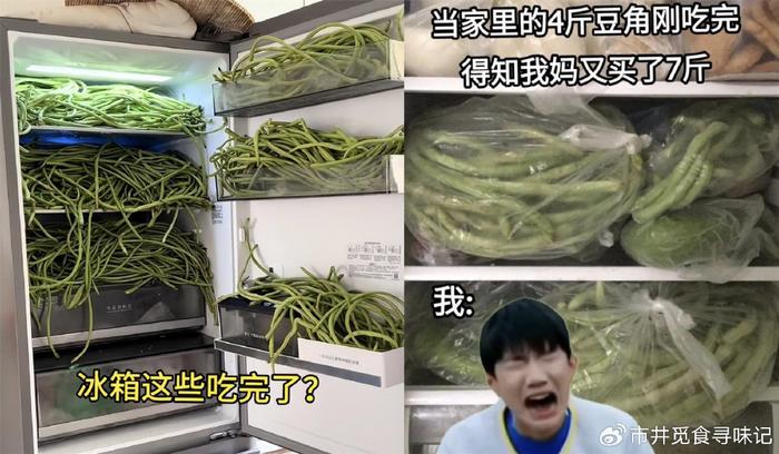 怎么种缸豆视频_缸豆种植技术视频_缸豆种植技术视频播放