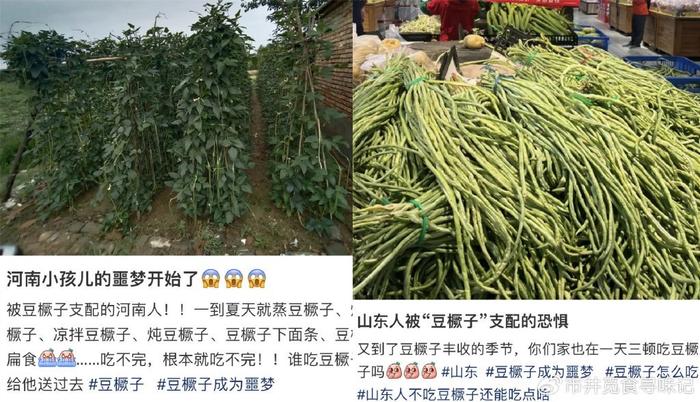 缸豆种植技术视频播放_怎么种缸豆视频_缸豆种植技术视频