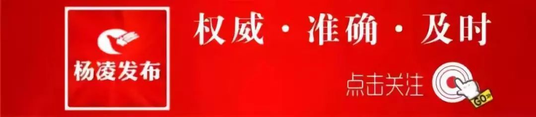 农民致富种植项目_老农民种植致富_农村致富种