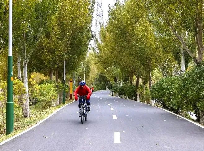 致富经种菜牛人_致富经农村种植_老农民种植致富