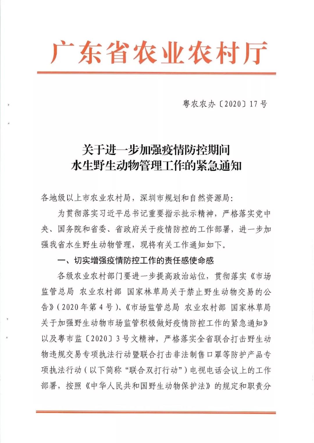 养殖泥鳅养殖泥鳅_养殖泥鳅视频全过程_泥鳅养殖技术列表