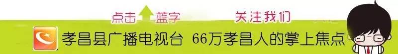 【社会】邹岗60岁老果农种植20多个品种的葡萄！还能带动村民致富！（在本文留言既有机会获得自拍杆！）