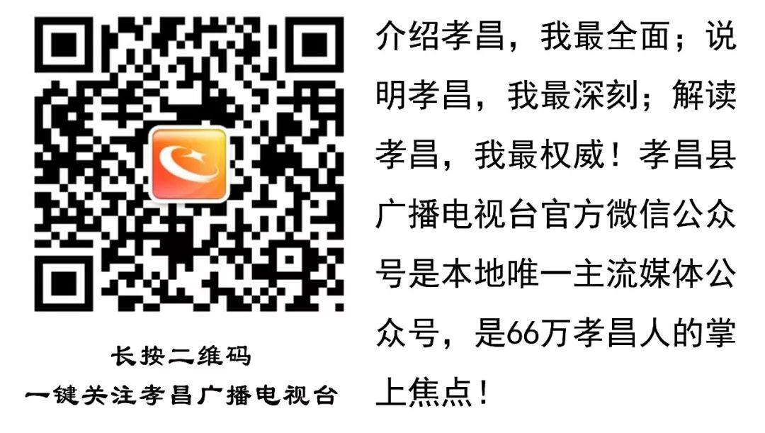 致富经肉鸽养殖创业_肉鸽养殖致富商_致富经养鸽子创业视频