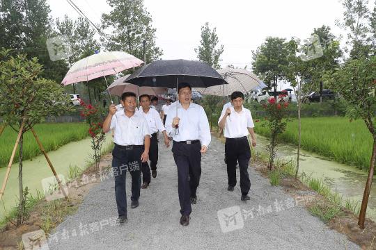 致富桑养蚕种子图片_种桑养蚕的优势条件_致富经种桑 养蚕