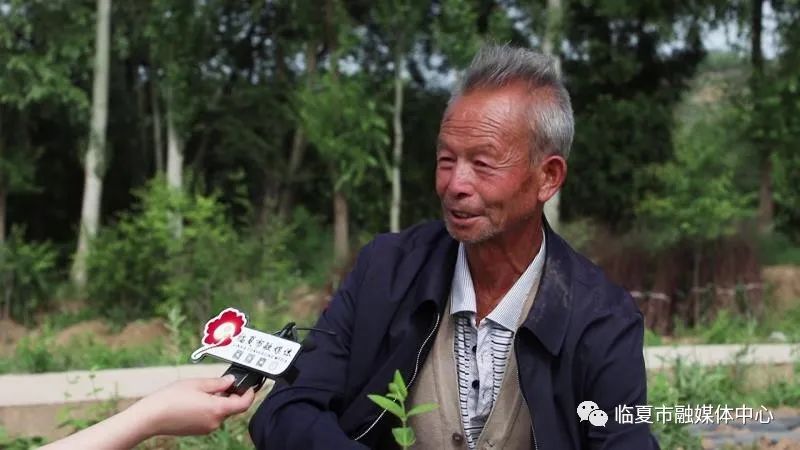 种植金银花脱贫致富经验_农村靠种金银花致富人_农村种植金银花项目怎么样