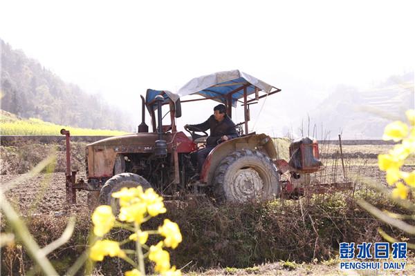 夫妻俩勤劳铺就致富路