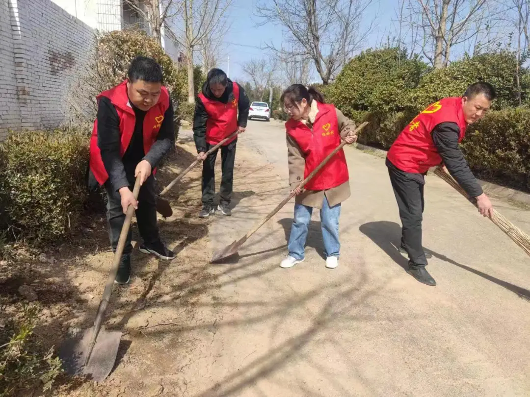 河北油葵种植时间_石家庄油葵种植致富_河北油葵种子三大公司