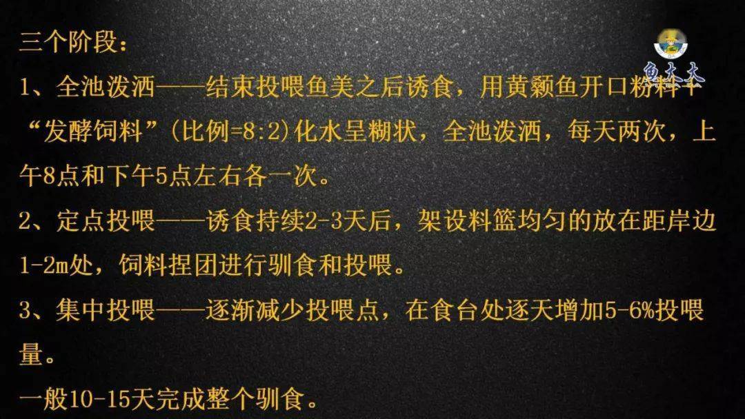 黄颡口到蕲州镇_桂林黄颡鱼苗_黄颡鱼鱼花养殖技术