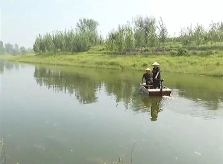 河北省红豆杉种植基地_河北种植红豆杉技术要求_河北红豆杉种植技术