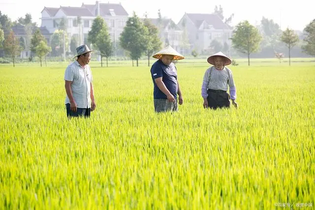 养殖致富项目最新_致富养殖信息_致富养殖最新项目招聘