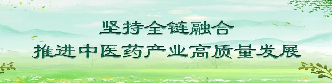 丹参种植效益及市场前景_陕西种植丹参致富_2020丹参的种植和前景