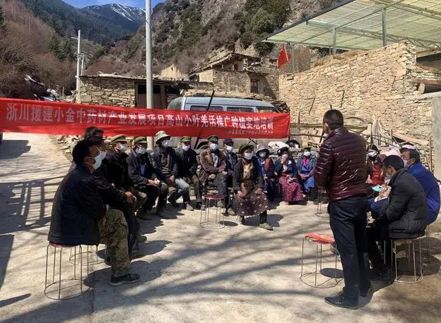 中药材致富_种植药材 致富项目有哪些_致富药材种植项目有哪些公司