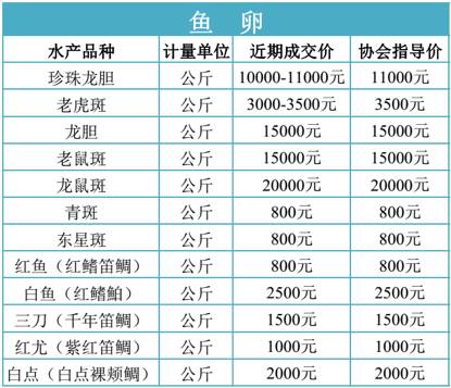 海南种苗协会发布：近两周青斑价格渐涨，收购价28-29元/斤