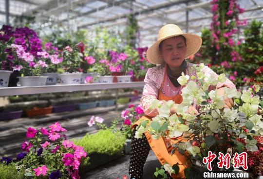 甘肃省白银市农作物种植情况_甘肃白银农场包地适合种植啥_白银种植致富