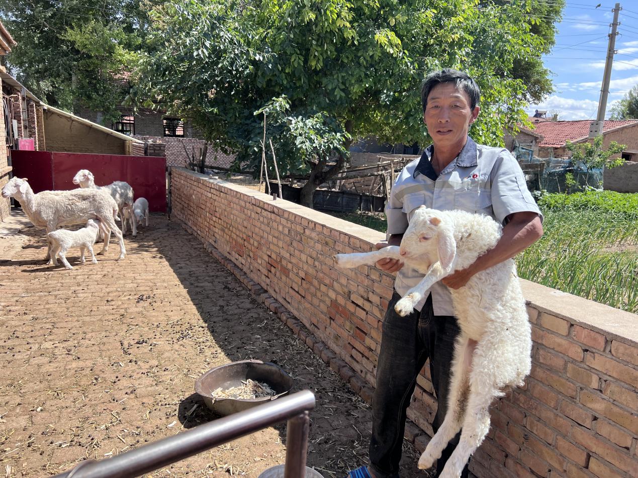 庭院养殖致富项目_农村小院养殖什么赚钱_小院子养殖致富