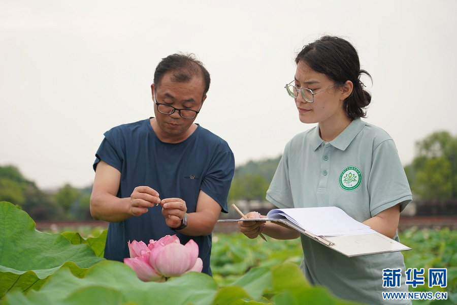 江苏省种植食用菌致富新闻_江苏的食用菌养殖基地在哪里_江苏省食用菌基地