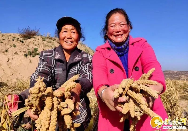 致富农业经_农业致富种植项目_农业种植致富新路子是什么