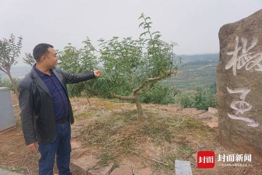 花椒种植赚钱吗_种植花椒的真实利润_种植花椒致富不了