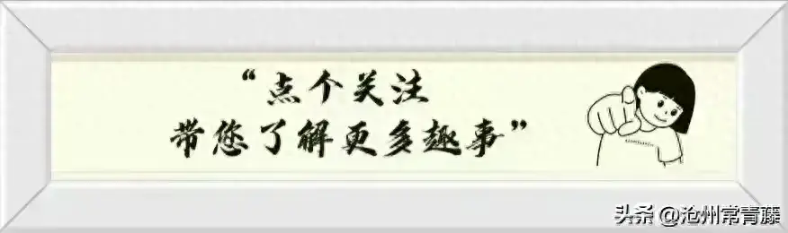 「沧州教育」刘会：沧州一中优秀英语青年教师，获省优质课一等奖