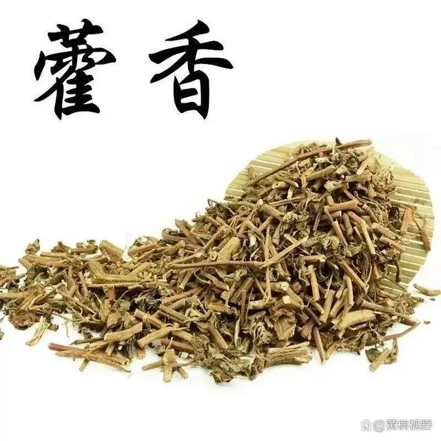 适合南北种植的药材，3个月就可收获，亩收入25000元，供不应求！