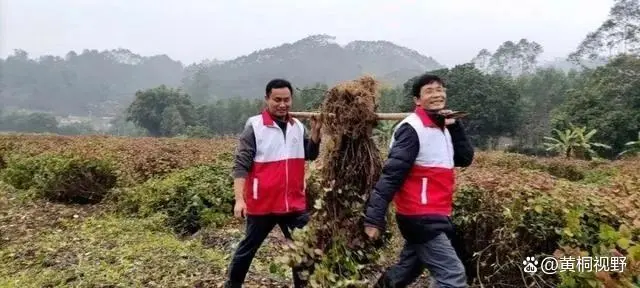 致富经农业种植_致富配方种植农业有哪些_农业种植致富配方