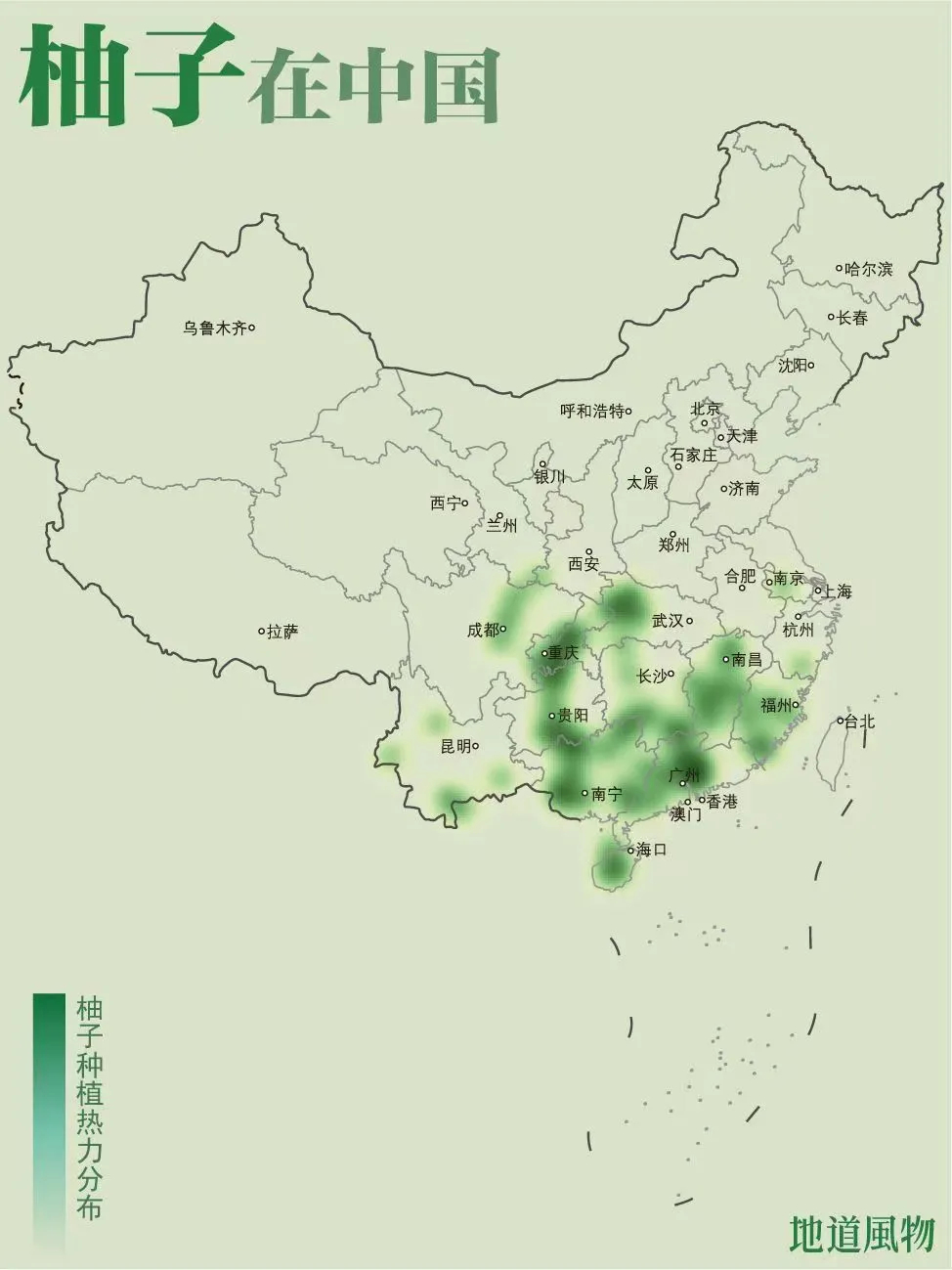 致富的柚子种植_致富柚子种植条件_致富柚子种植方法