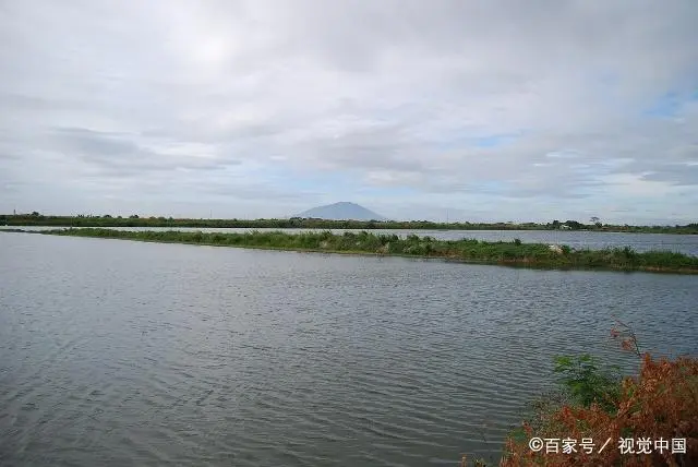 基围虾养殖前景_基围虾的养殖技术视频_基围虾养殖技术培训