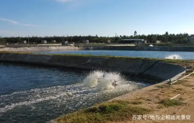 基围虾养殖技术培训_基围虾的养殖技术视频_基围虾养殖前景