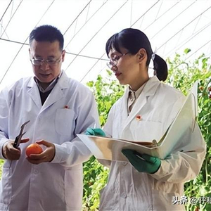 北方种植花树_北方种植什么花卉最赚钱_北方种植花卉致富