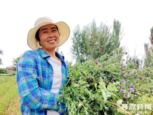 致富种植田鼠图片_田鼠养殖致富_田鼠种植致富吗