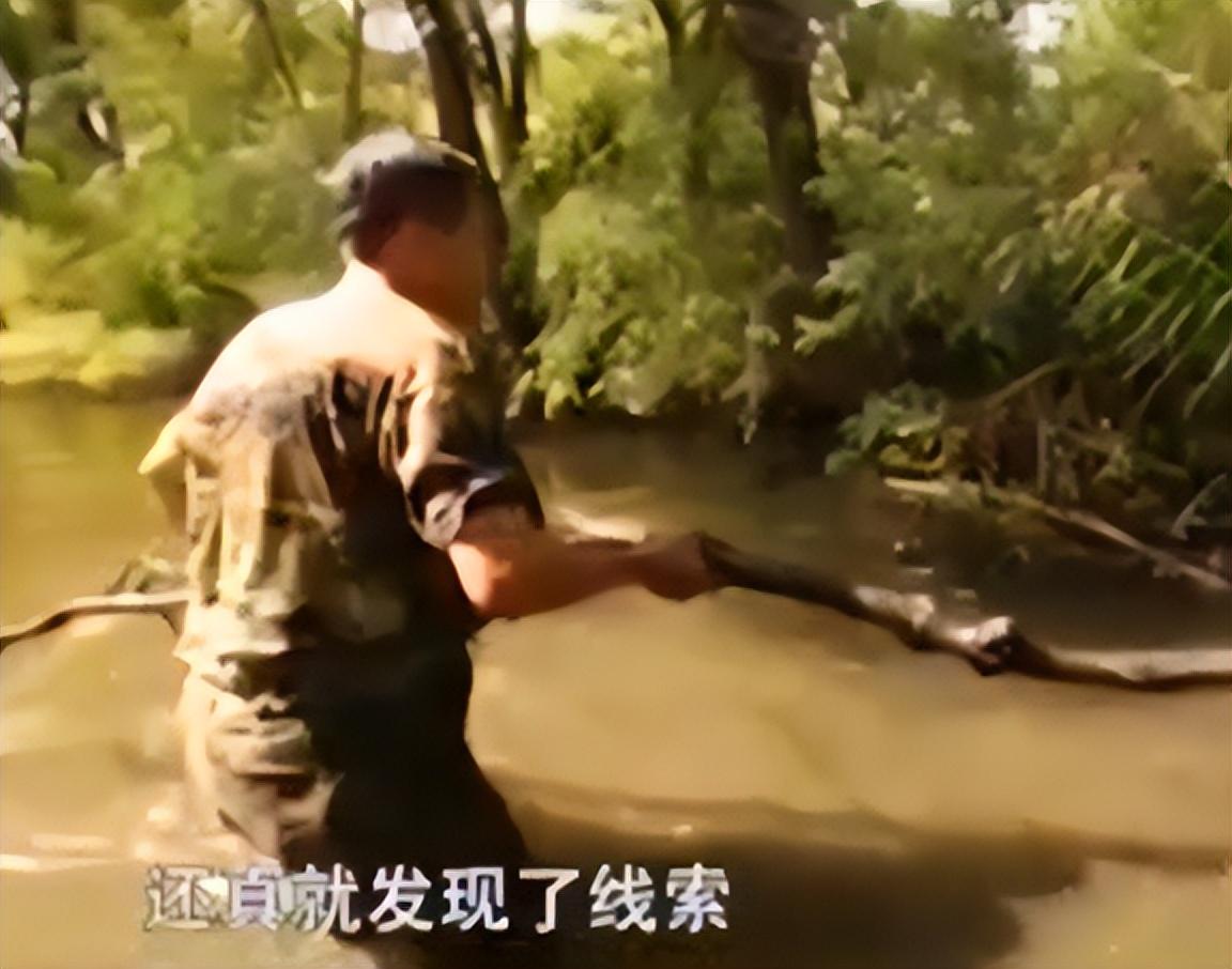 田鼠养殖视频致富经_田鼠种植致富吗_田鼠养殖致富