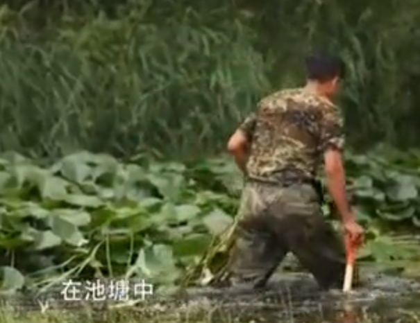 田鼠种植致富吗_田鼠养殖视频致富经_田鼠养殖致富