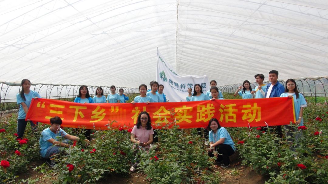 紫苏种植致富故事_种植紫苏赚钱吗_致富种植紫苏故事简介